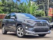 Toyota RAV4 Hybrid 2020 Gray for sale