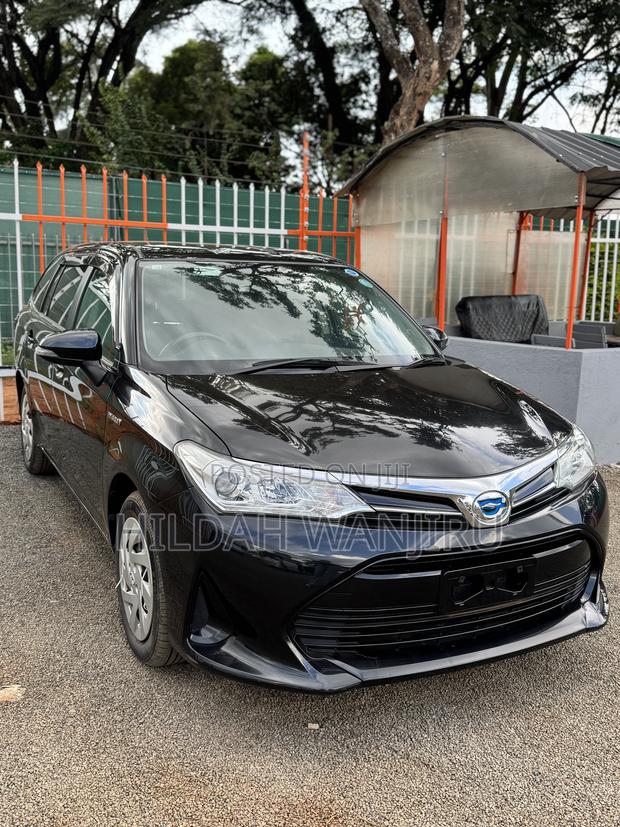 Toyota Corolla Fielder 2018 Black