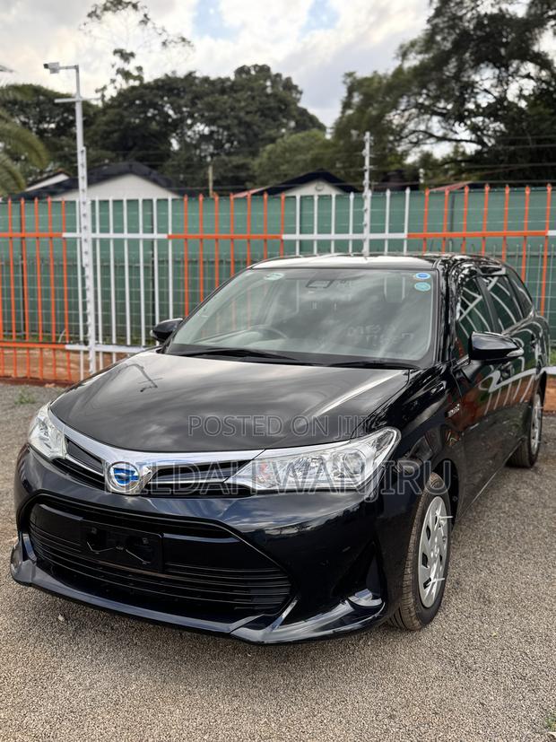Toyota Corolla Fielder 2018 Black