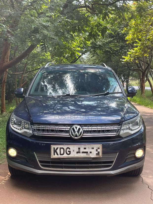 Volkswagen Tiguan 2014 Blue