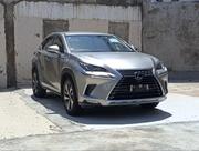 Lexus NX 300h FWD 2019 Gray for sale