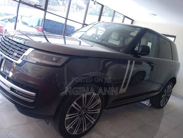 Rover Land 2023 Gray