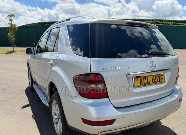 Mercedes-Benz M Class 2010 Silver