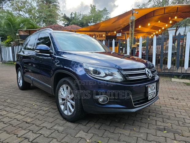Volkswagen Tiguan 2012 Blue