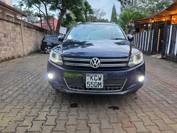 Volkswagen Tiguan 2012 Blue