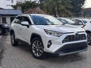 Toyota RAV4 LE FWD 2019 White for sale