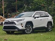 Toyota RAV4 XLE Premium AWD 2019 Pearl for sale