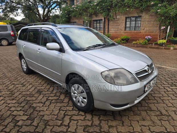 Toyota Corolla Fielder 2004 Silver
