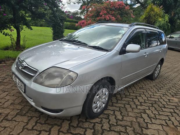 Toyota Corolla Fielder 2004 Silver