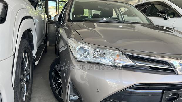 Toyota Axio 2019 Gray