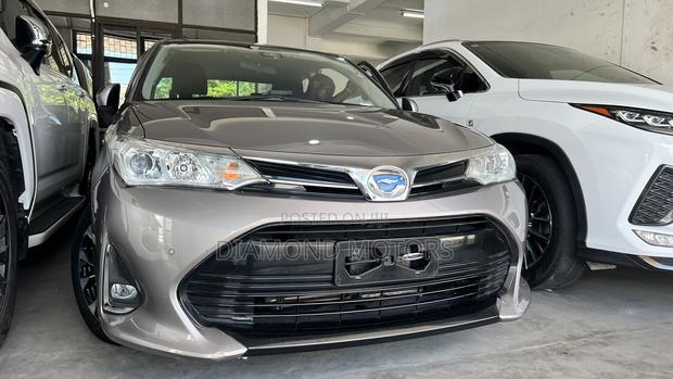 Toyota Axio 2019 Gray