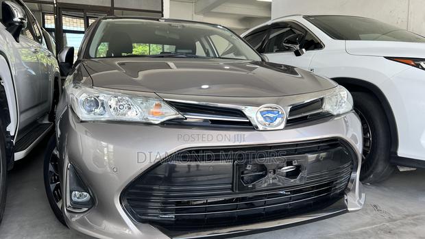 Toyota Axio 2019 Gray