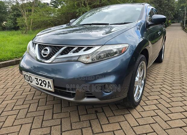 Nissan Murano 2014 Blue