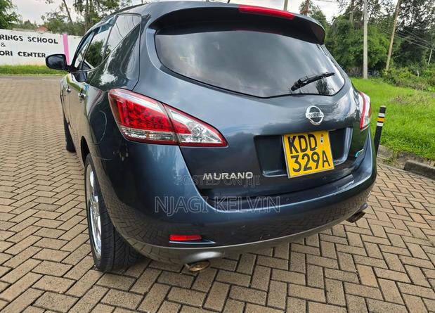 Nissan Murano 2014 Blue