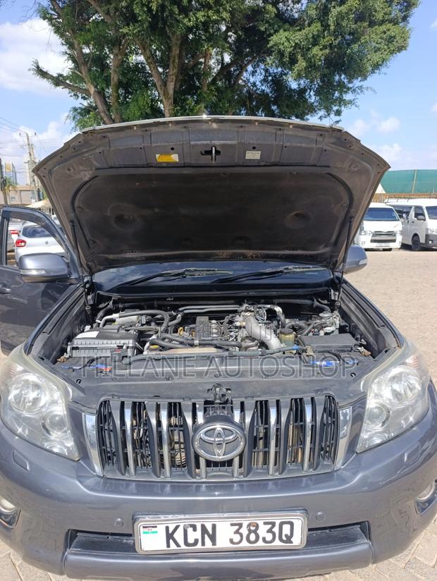 Toyota Land Cruiser Prado 2010 Gray