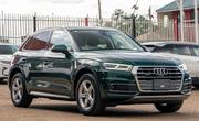 Audi Q5 2.0T Premium AWD quattro 2019 Green for sale