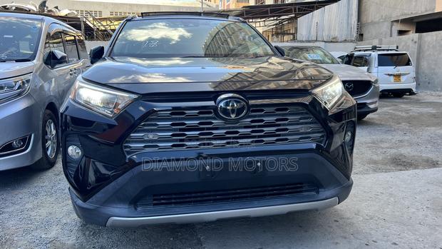 Toyota RAV4 XLE Premium AWD 2019 Matt Black