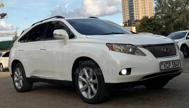 Lexus RX 2010 White