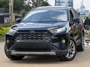 Toyota RAV4 Limited AWD 2019 Black for sale