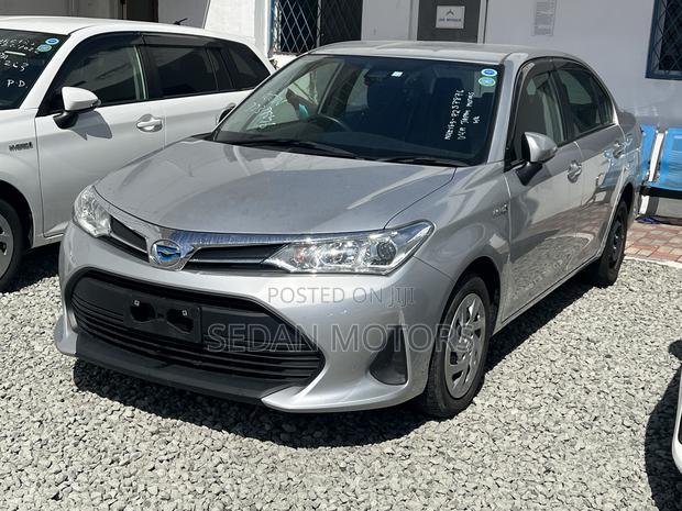 Toyota Axio 2019 Gray