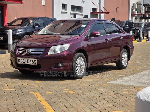 Toyota Axio 2010 Maroon