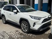 Toyota RAV4 XLE Premium AWD 2019 White for sale