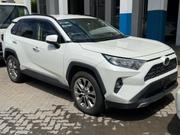 Toyota RAV4 XLE Premium AWD 2019 White for sale