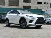 Lexus NX 2019 White for sale