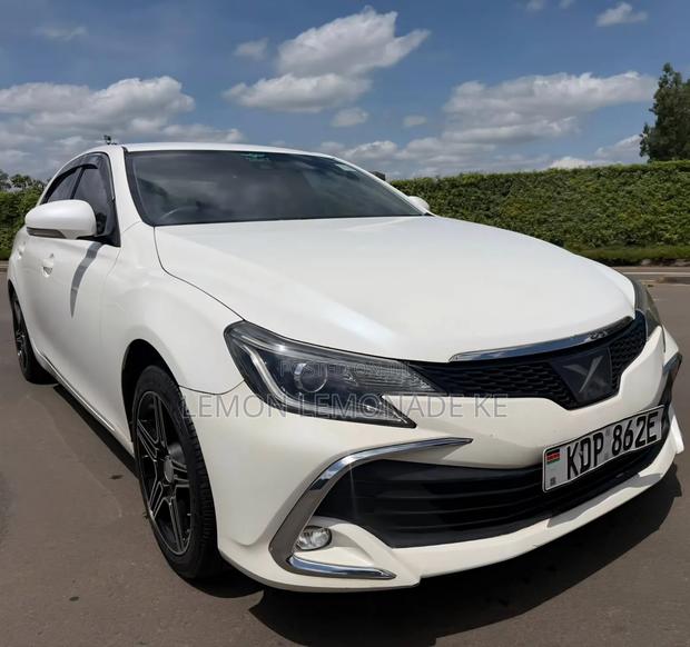 Toyota Mark X 2017 White
