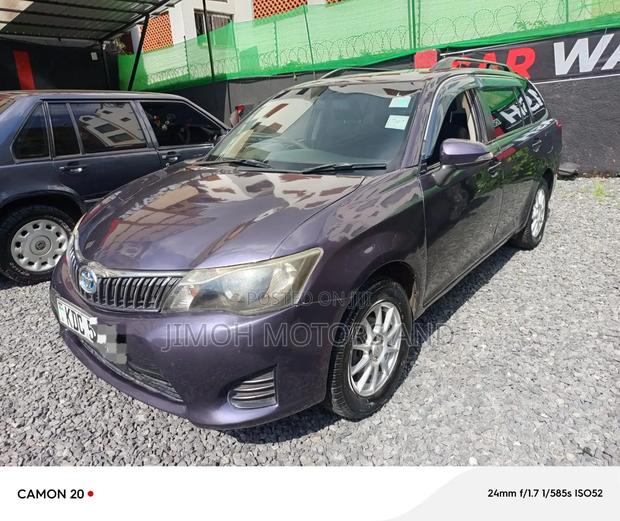 Toyota Corolla Fielder 2015 Purple