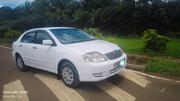 Toyota Corolla 2003 White for sale