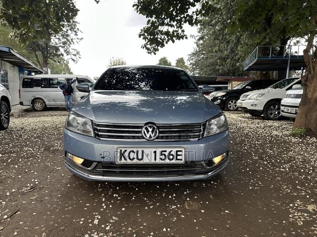Volkswagen Passat 2013 Blue