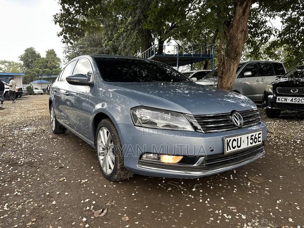 Volkswagen Passat 2013 Blue