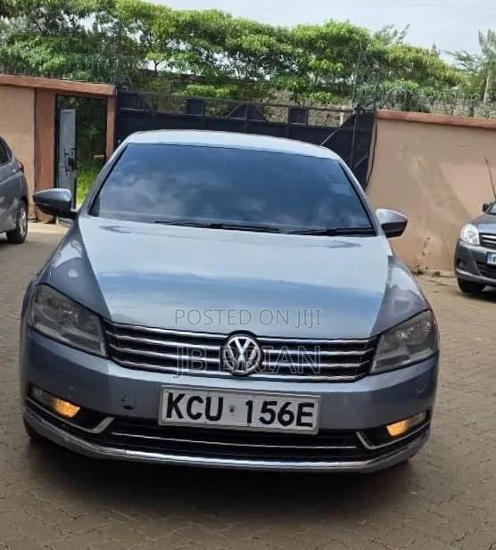 Volkswagen Passat 2013 Blue