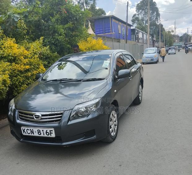 Toyota Axio 2010 Gray