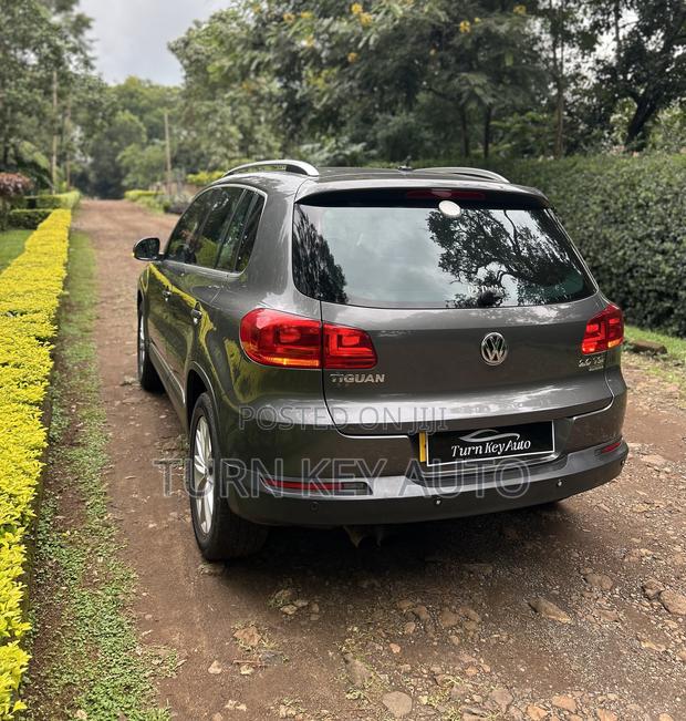 Volkswagen Tiguan SE 4Motion 4dr SUV AWD (2.0L 4cyl Turbo 6A) 2014 Gray