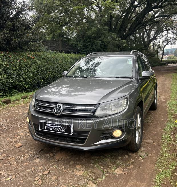 Volkswagen Tiguan SE 4Motion 4dr SUV AWD (2.0L 4cyl Turbo 6A) 2014 Gray