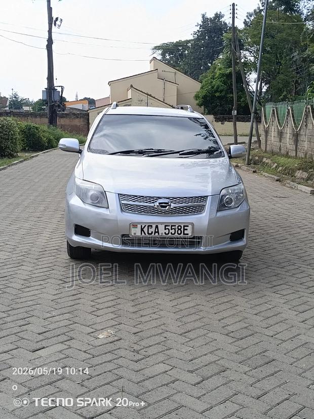 Toyota Corolla Fielder 2007 Silver