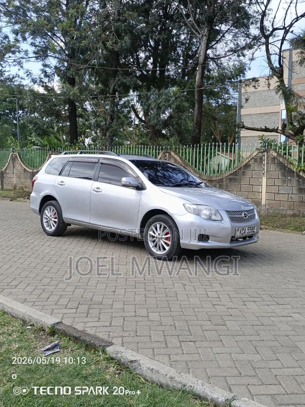 Toyota Corolla Fielder 2007 Silver
