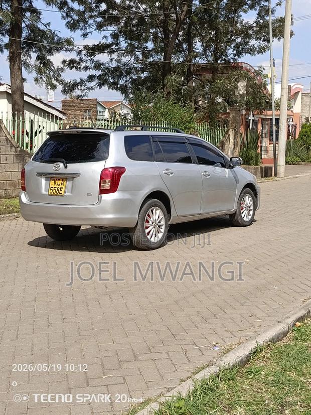 Toyota Corolla Fielder 2007 Silver