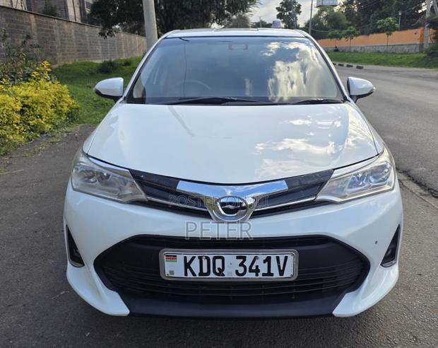 Toyota Corolla Fielder 2017 Pearl