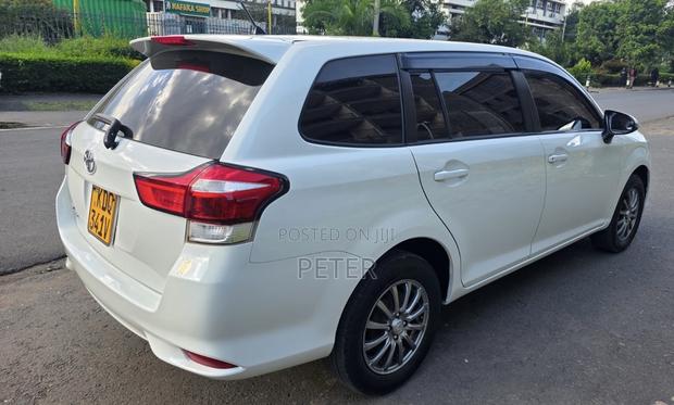 Toyota Corolla Fielder 2017 Pearl
