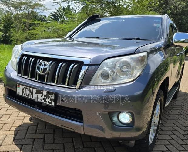 Toyota Land Cruiser 2010 Gray