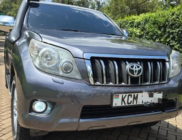 Toyota Land Cruiser 2010 Gray