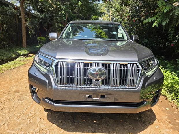 Toyota Land Cruiser Prado Kakadu 2019 Gray