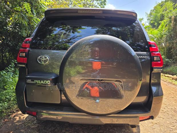 Toyota Land Cruiser Prado Kakadu 2019 Gray