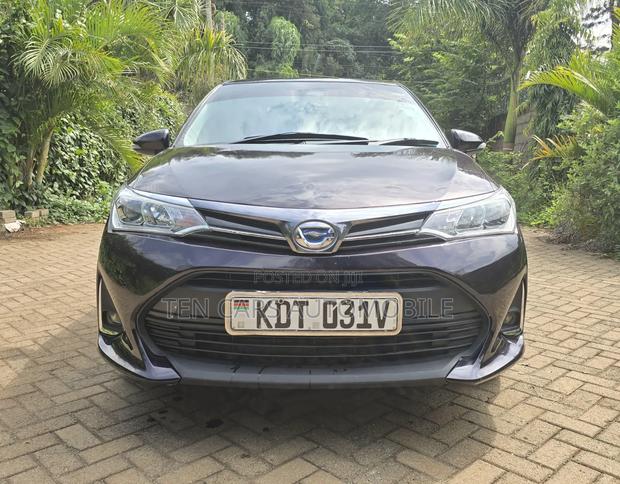Toyota Axio 2018 Purple
