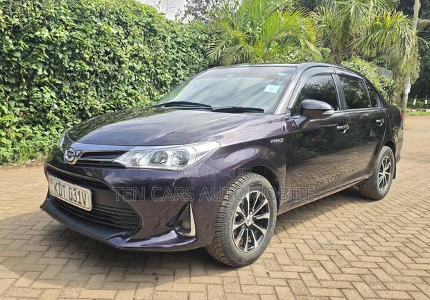 Toyota Axio 2018 Purple