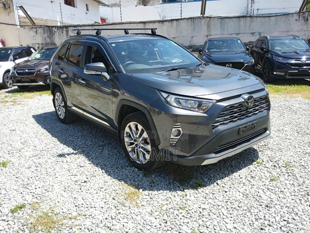 Toyota RAV4 Adventure 2019 Gray