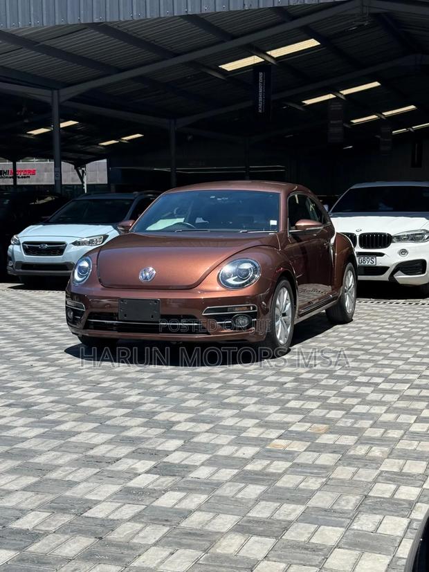 Volkswagen Beetle 2018 Brown